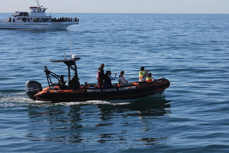 Saltwater Dreams, Small-Town Reality: What Happens When Everyone Moves to the Beach