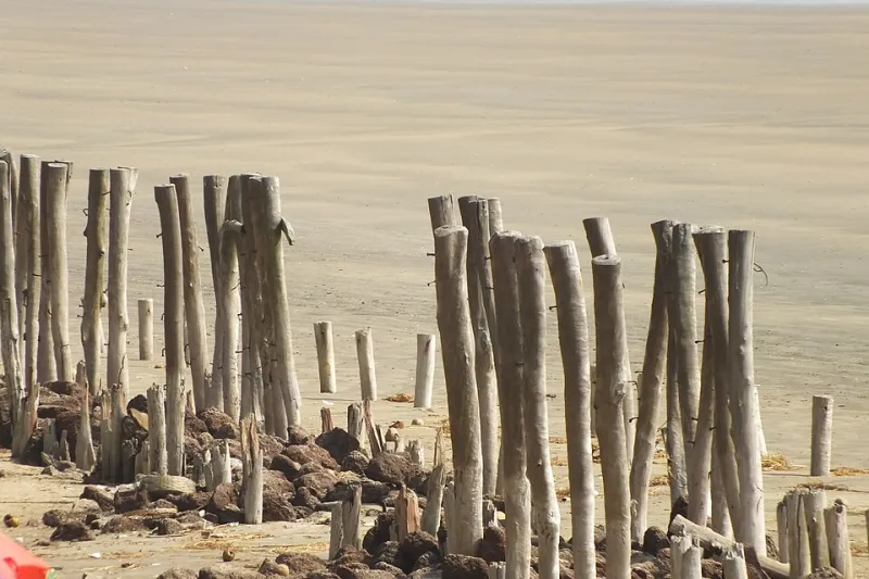 What the Sand Is Trying to Tell Us: The Science Behind America's Shifting Shorelines